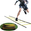 AGILITY LADDER - LIVEUP