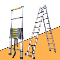 ALUMINIUM LADDER - 13 x 2