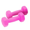 DUMBBELL SET - 3KG