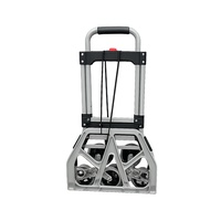 TROLLEY SACK TRUCK