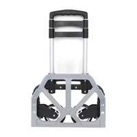TROLLEY SACK TRUCK