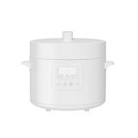 PRESSURE COOKER - 4.8L