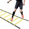 AGILITY LADDER - LIVEUP