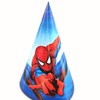 HAT SET - SPIDERMAN