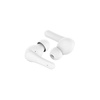 EAR BUDS - BELKIN