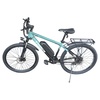 BICYCLE 37.5'' TRINX