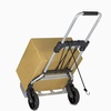TROLLEY SACK TRUCK