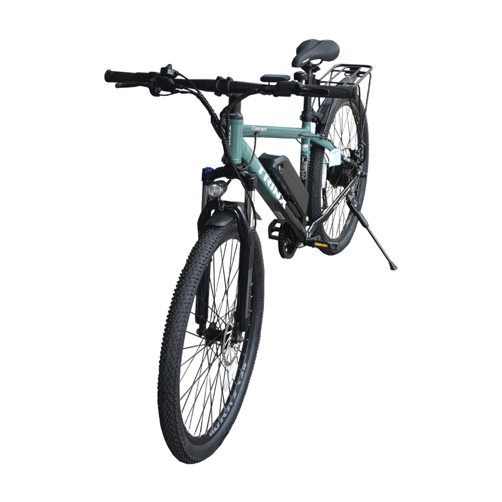 BICYCLE 37.5'' TRINX